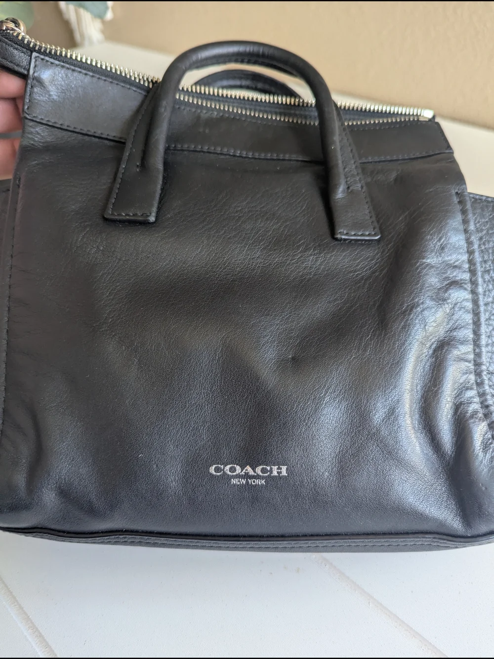 Coach Bleecker Mini Riley Carryal, a versatile crossbody